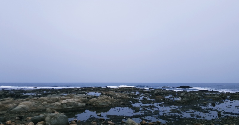 흐린날의 겨울바다