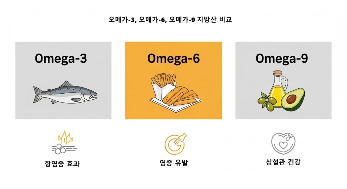 오메가-3, 오메가-6, 오메가-9의 주요 기능과 대표적인 식품군을 시각적으로 비교한 전문 인포그래픽.