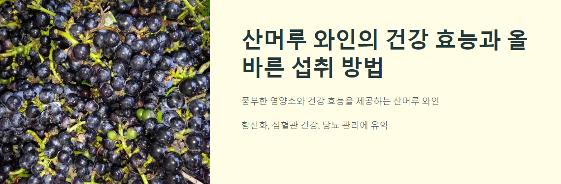 산머루 와인의 건강 효능과 올바른 섭취 방법