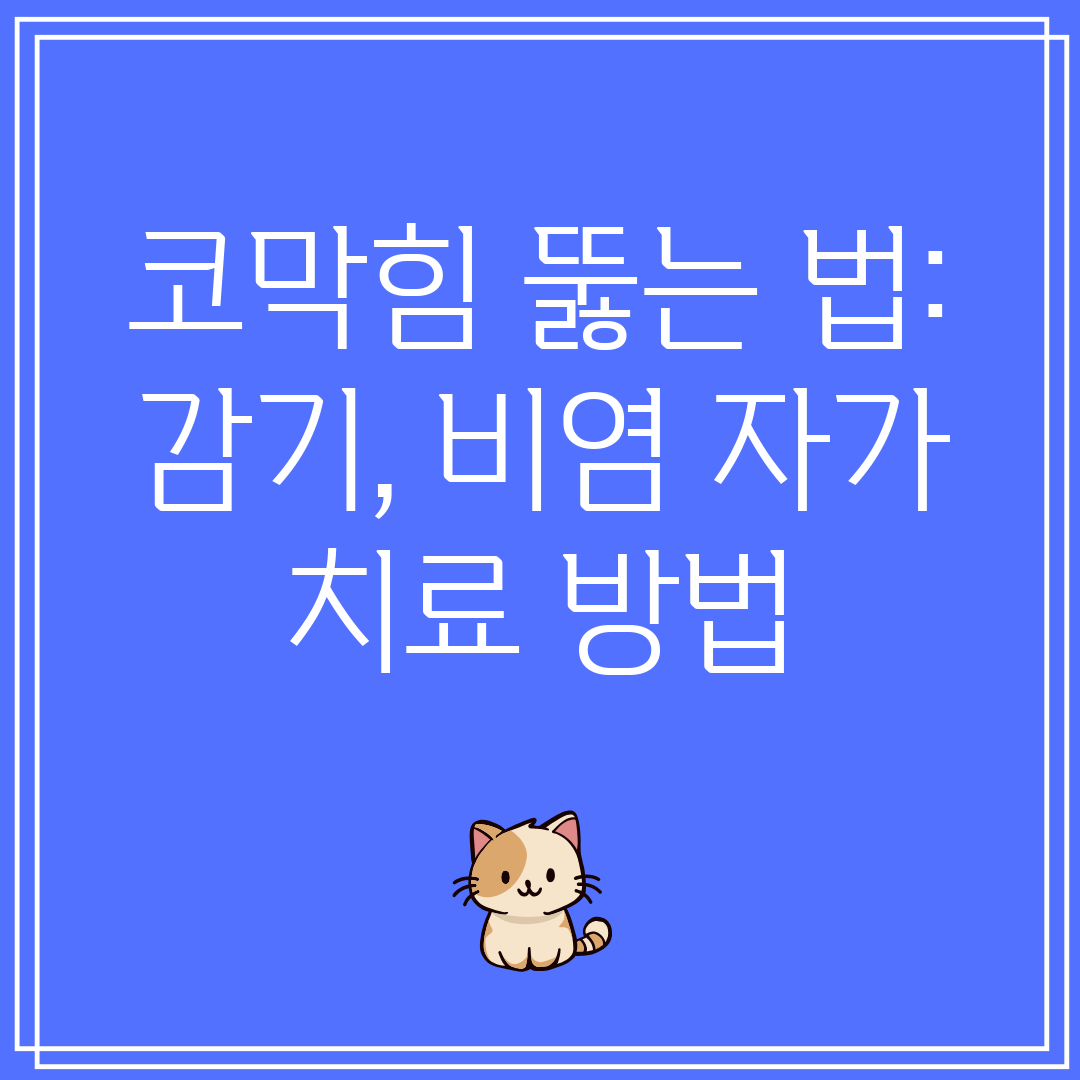 코막힘 뚫는 법 감기, 비염 자가 치료 방법