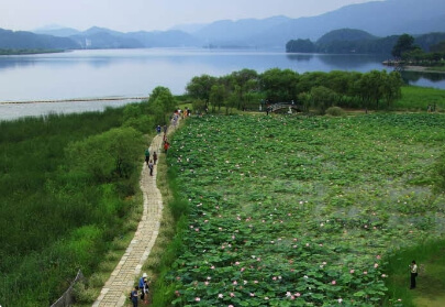 세미원 연꽃문화제 일정 입장료