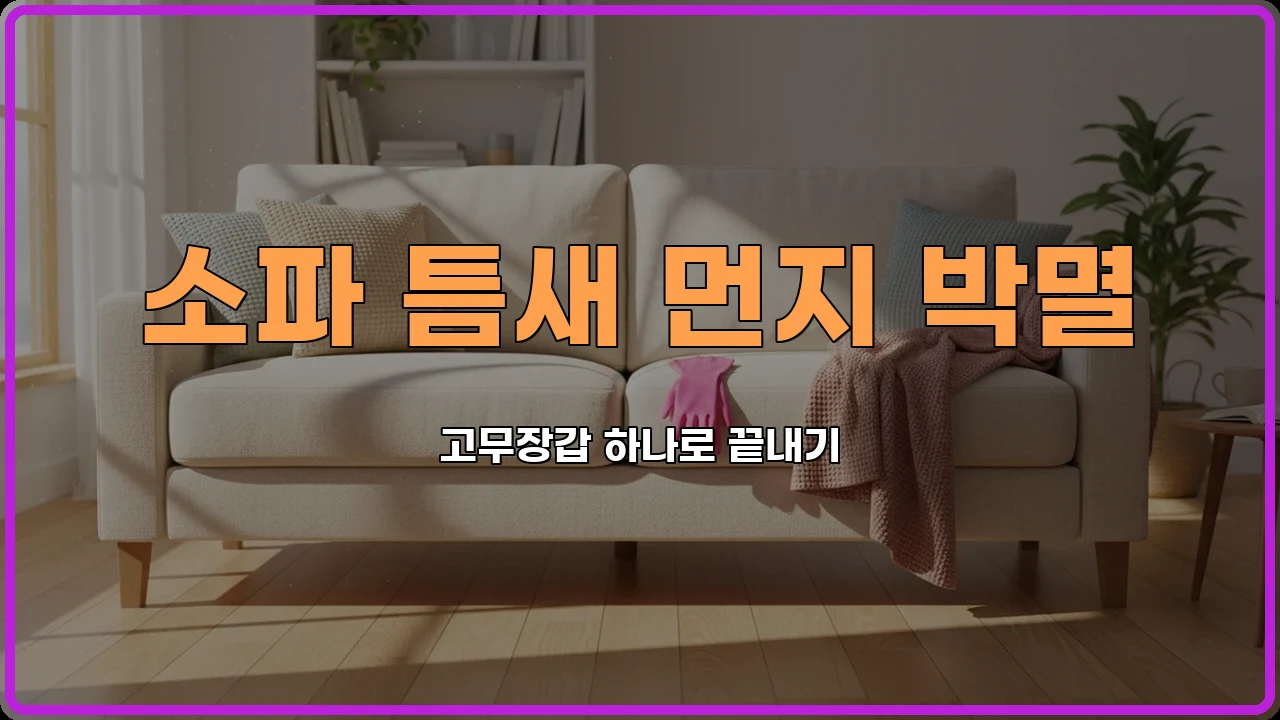 대청소