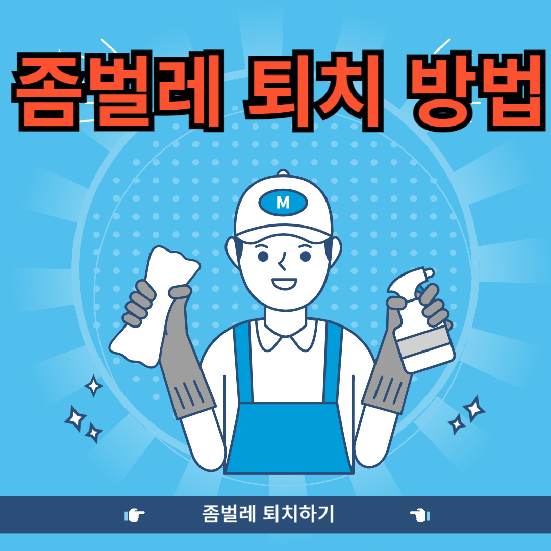 좀벌레 퇴치
