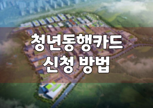 
청년동행카드