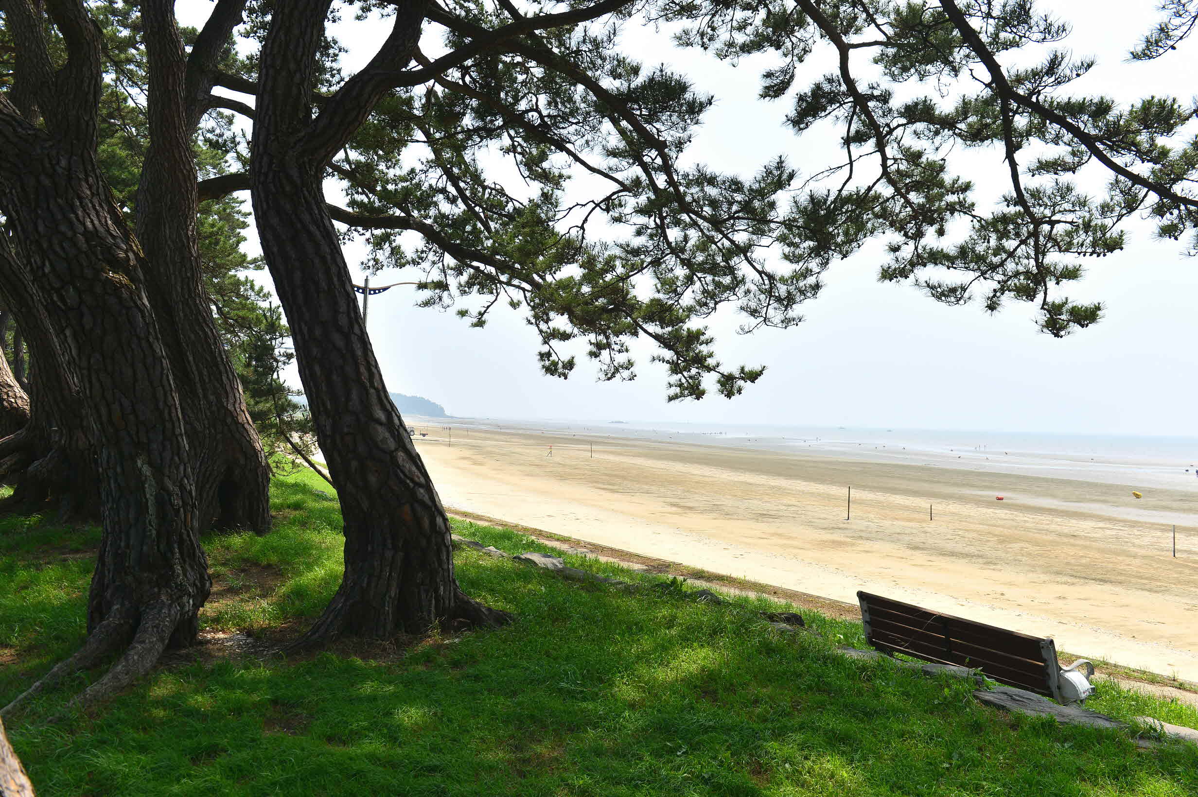 동호해수욕장 모습