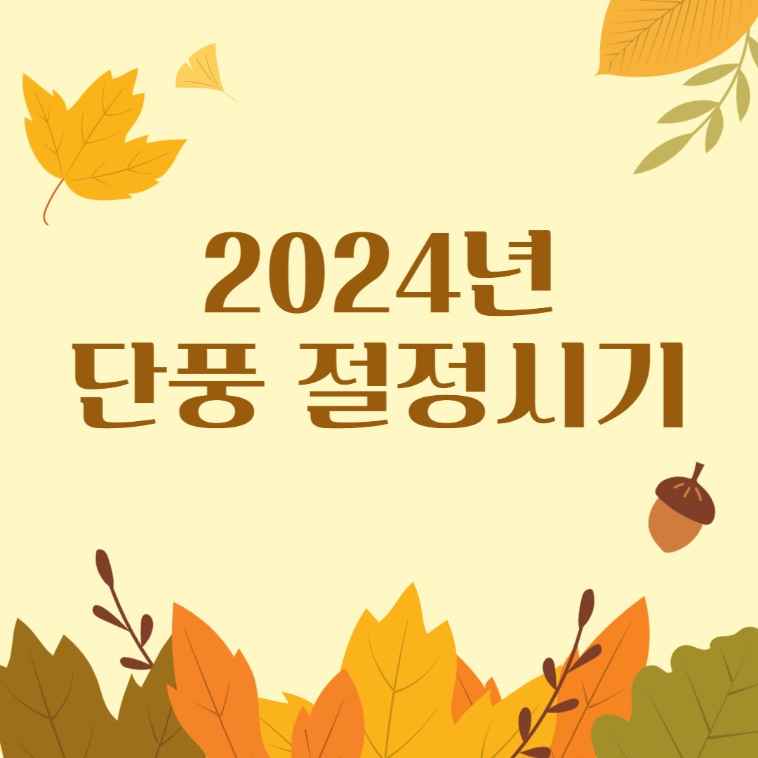 2024년 단풍 절정시기