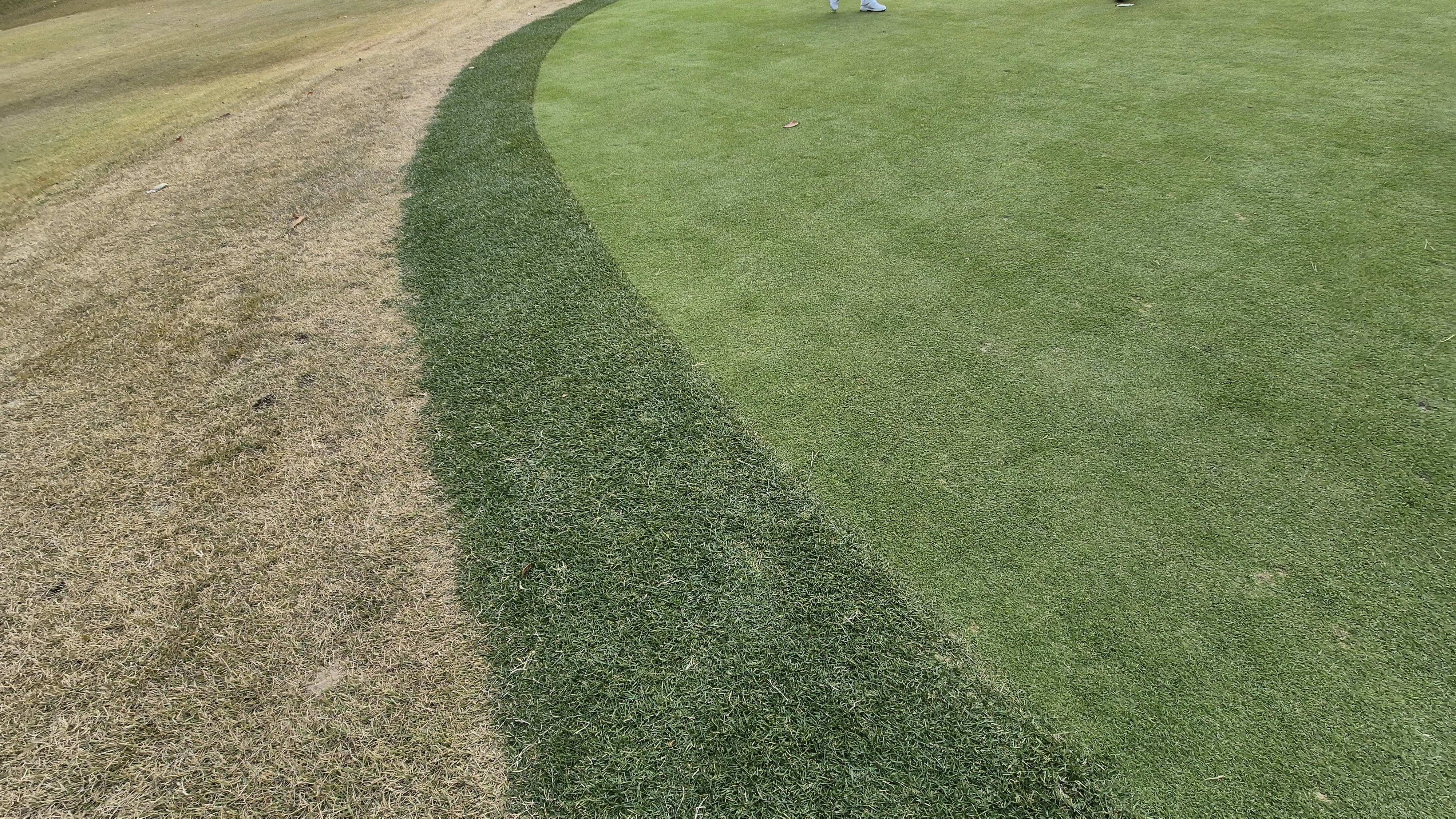 세종에머슨cc 밸리-마운틴 그린관리상태