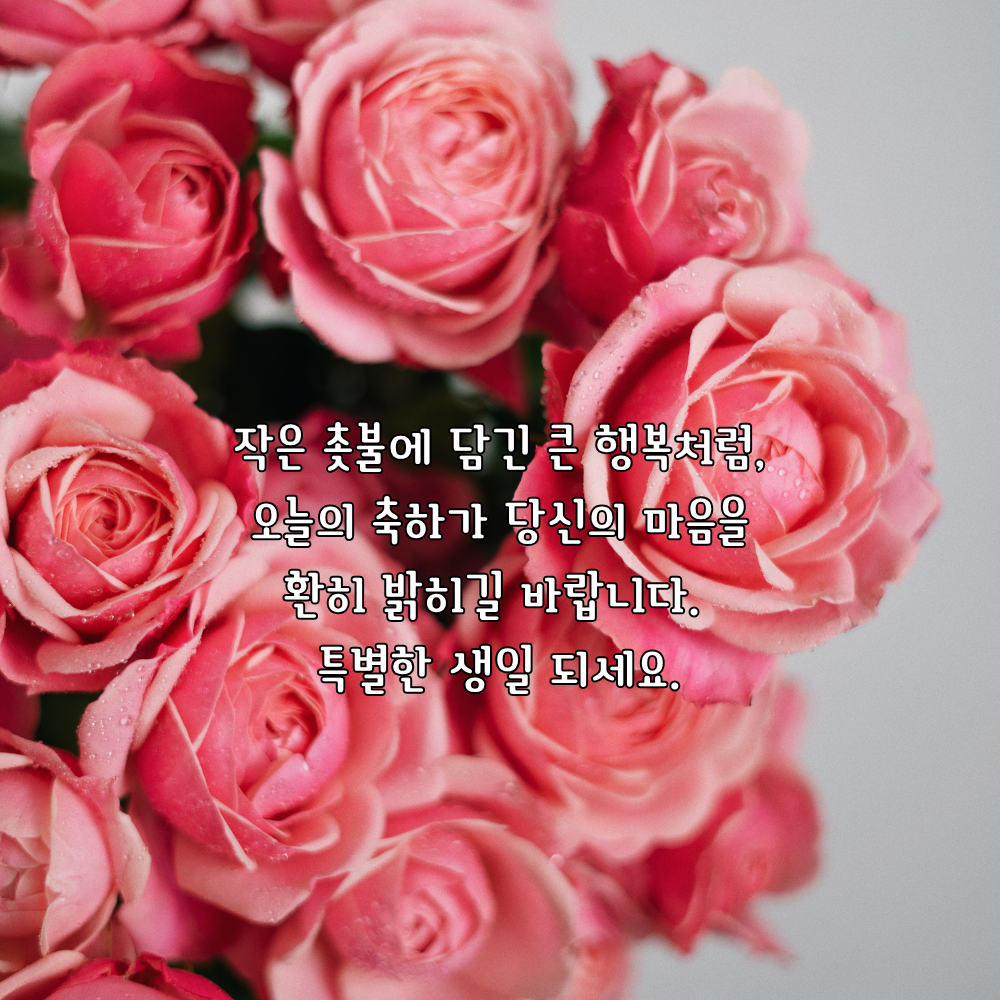 생일 축하 메세지 꽃다발 이미지 그림 사진 모음