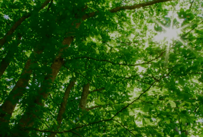 당뇨병 예방을 위한 일상 습관 7가지