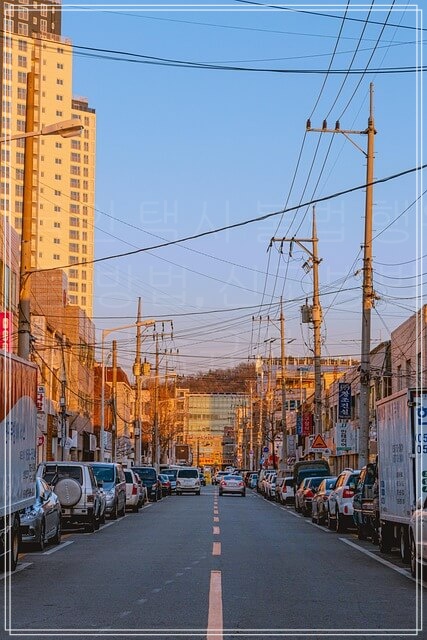 외국인 택시 불법 행위의 실태와 대응 방법&amp;#44; 신고방법&amp;#44; 처벌&amp;#44; 단속규정