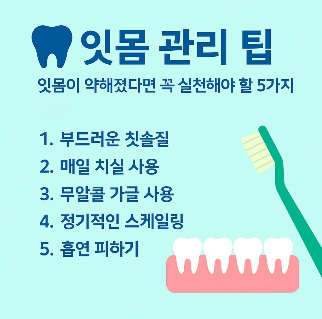 잇몸관리팁