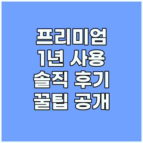 유튜브 프리미엄 1년 사용 후기: 저..