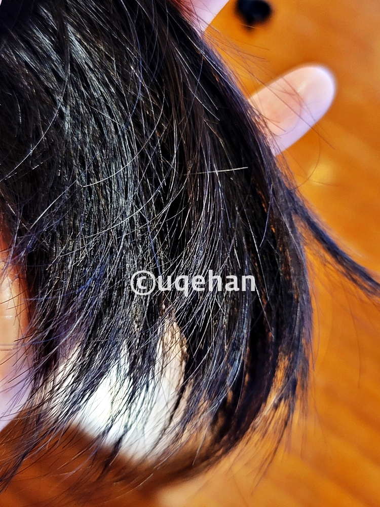 노브랜드 너르싱 헤어오일을 머리에 발라놓은 사진이다.