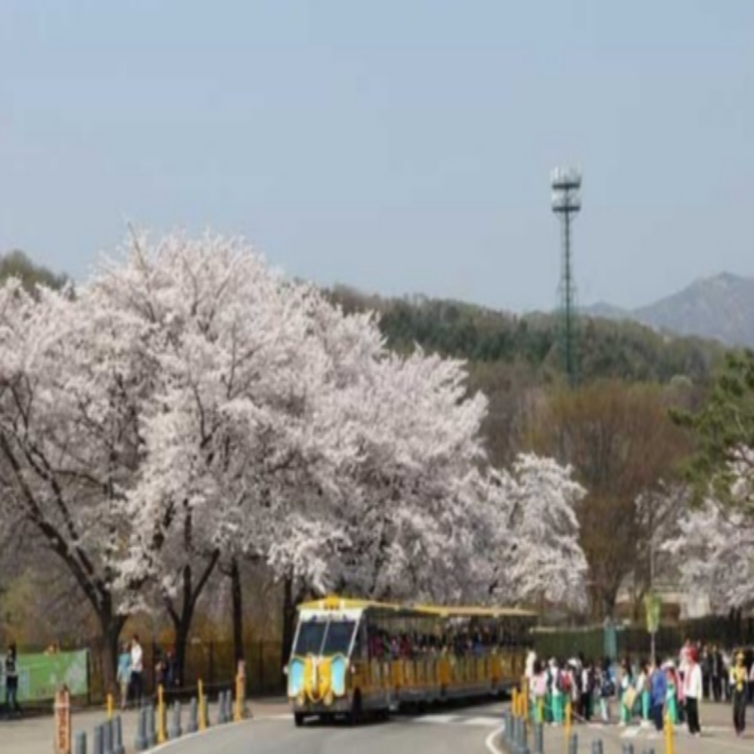 https://grandpark.seoul.go.kr