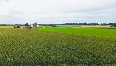 농지대장 발급방법