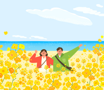 함평나비축제 일정, 초대가수, 입장료 할인정보🦋