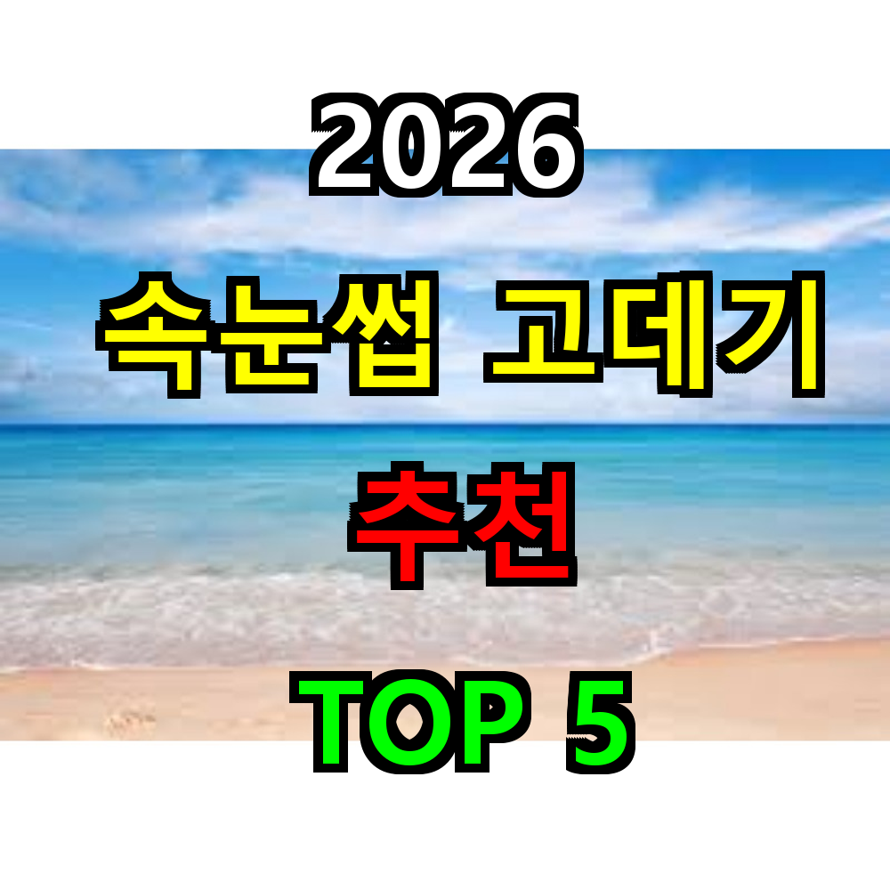 2026 속눈썹 고데기 추천 TOP 5