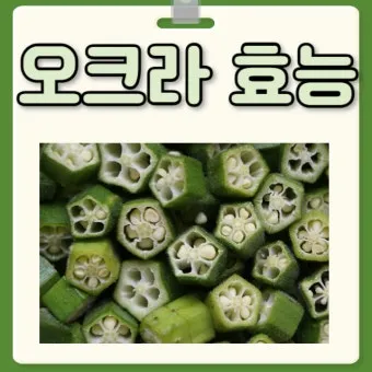오크라 효능 재배법 손질 수확 요리 보관까지 한눈에 보기_12