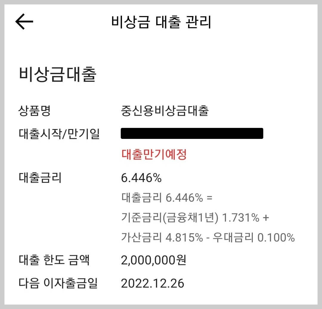 비상금 대출 만기예정
