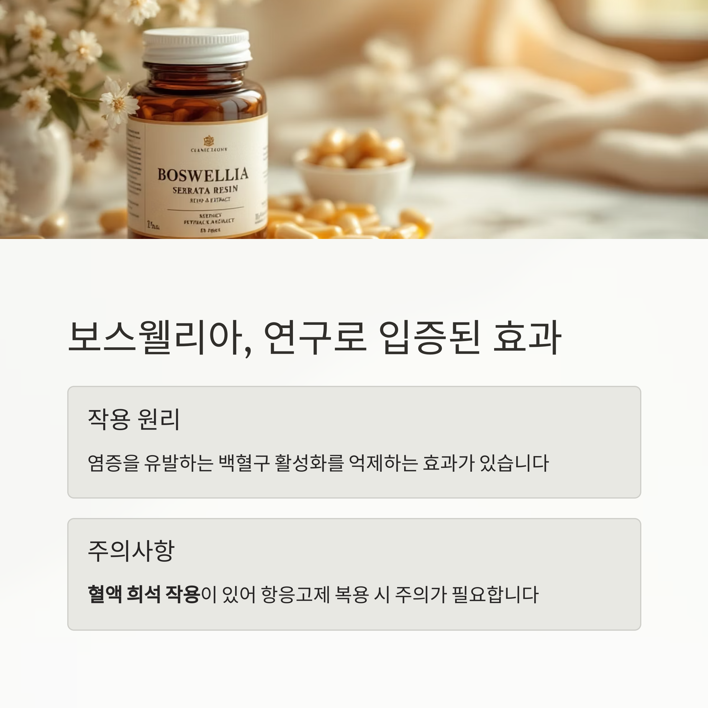 관절염 통증 완화에 효과적인 약초 7가지 비밀