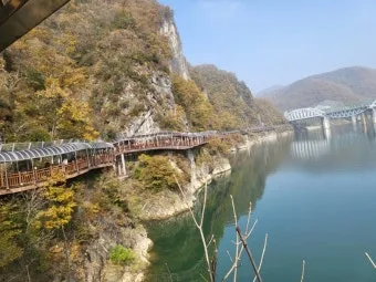 단양 가볼만한곳 베스트10 여행 안내_5