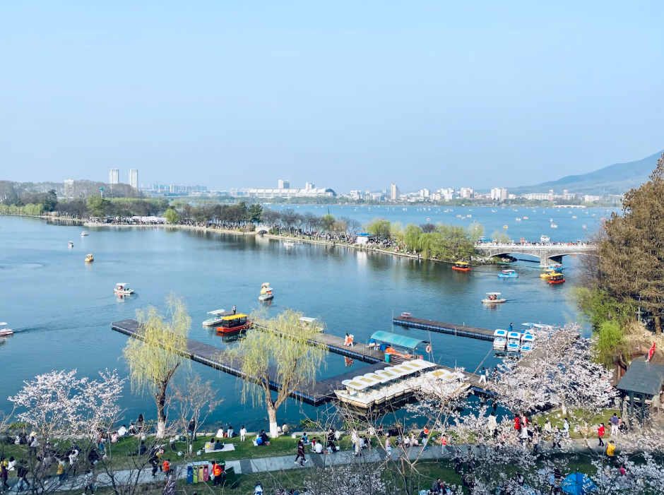 🌾 순천만 국가정원 + 전통 한옥 숙소
순천만은 자연을 사랑하는 부모님께 최고의 여행지다. 국가정원의 다양한 테마 정원은 걷는 재미가 있고, 순천만 습지에서 해질 무렵 갈대밭을 걷는 경험은 잊지 못할 추억이 된다. 숙소는 전통 한옥 숙박으로 잡으면 조용한 분위기 속에서 휴식을 취할 수 있다.