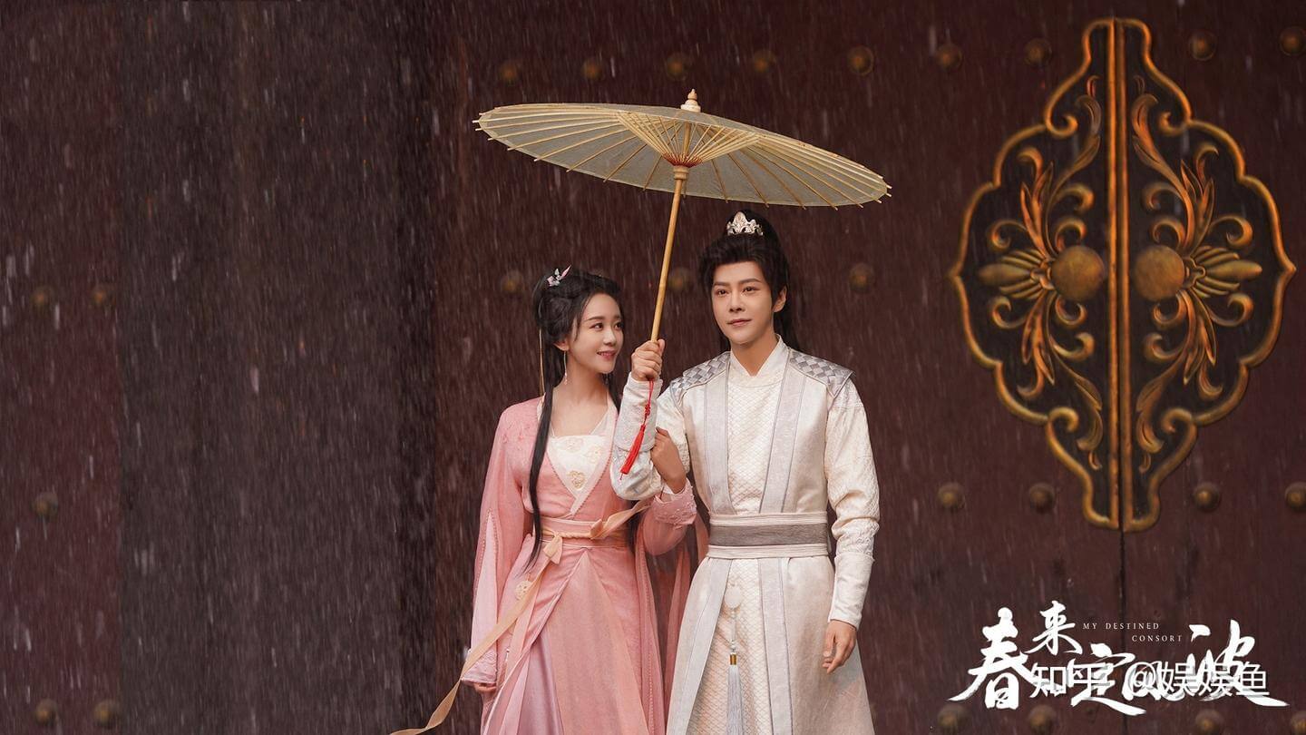 춘래정풍파: 영혼이 이끄는 인연