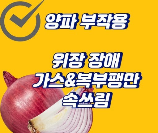 양파 섭취시 일반적인 부작용