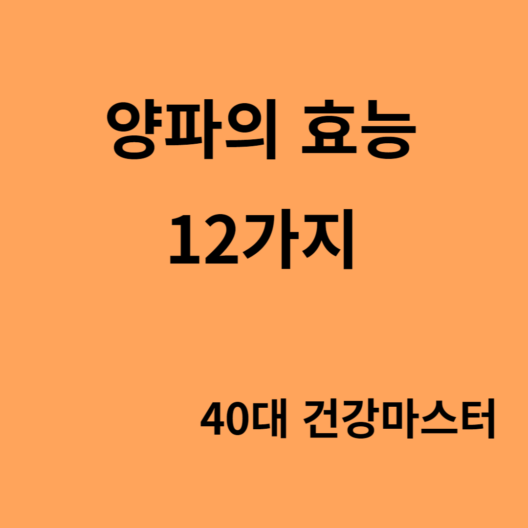 양파의 효능