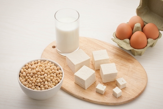 단백질이 많은 음식들