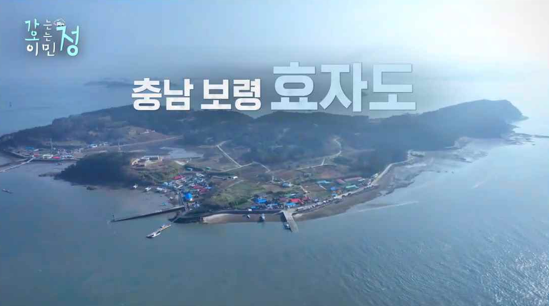충남 보령 효자도 섬을 상공에서 찍은 사진
