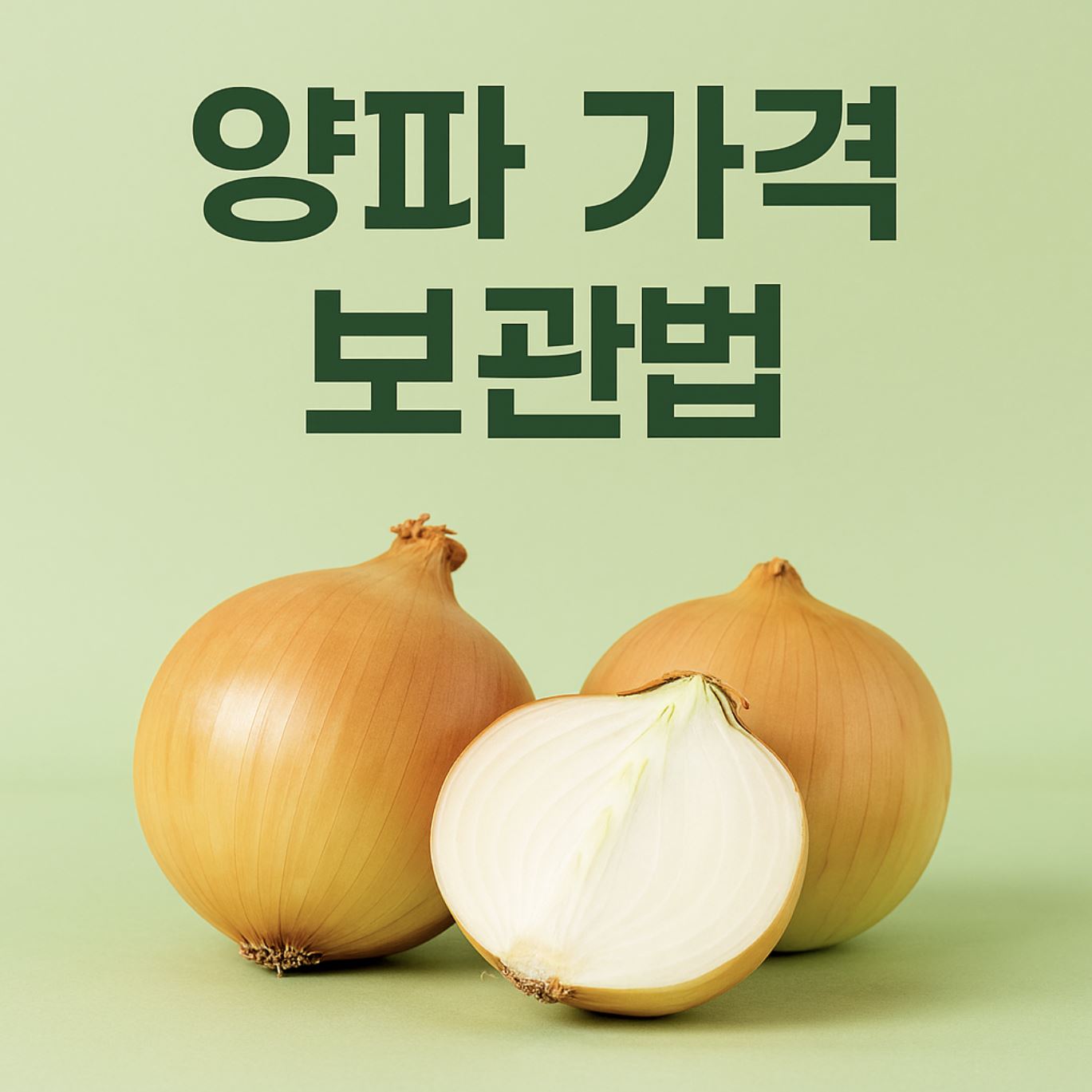 양파가격 및 보관법