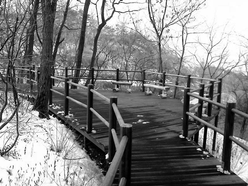 눈내린 안산자락길