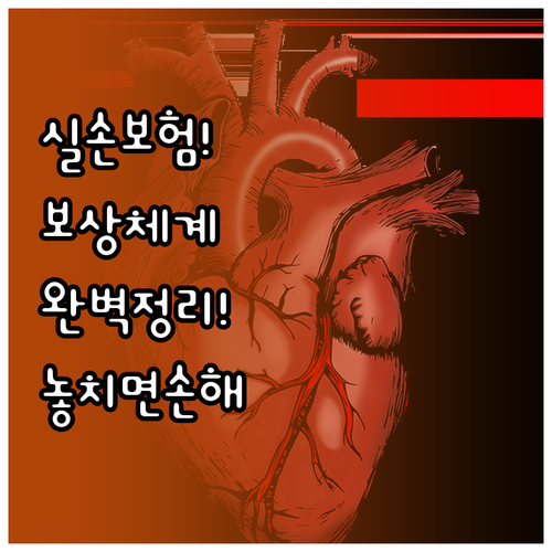 비급여에서 관리급여 전환 시 실손보험..
