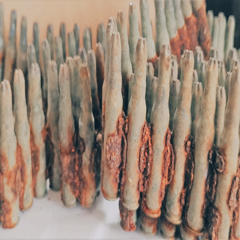 금속탐지기 한국전쟁