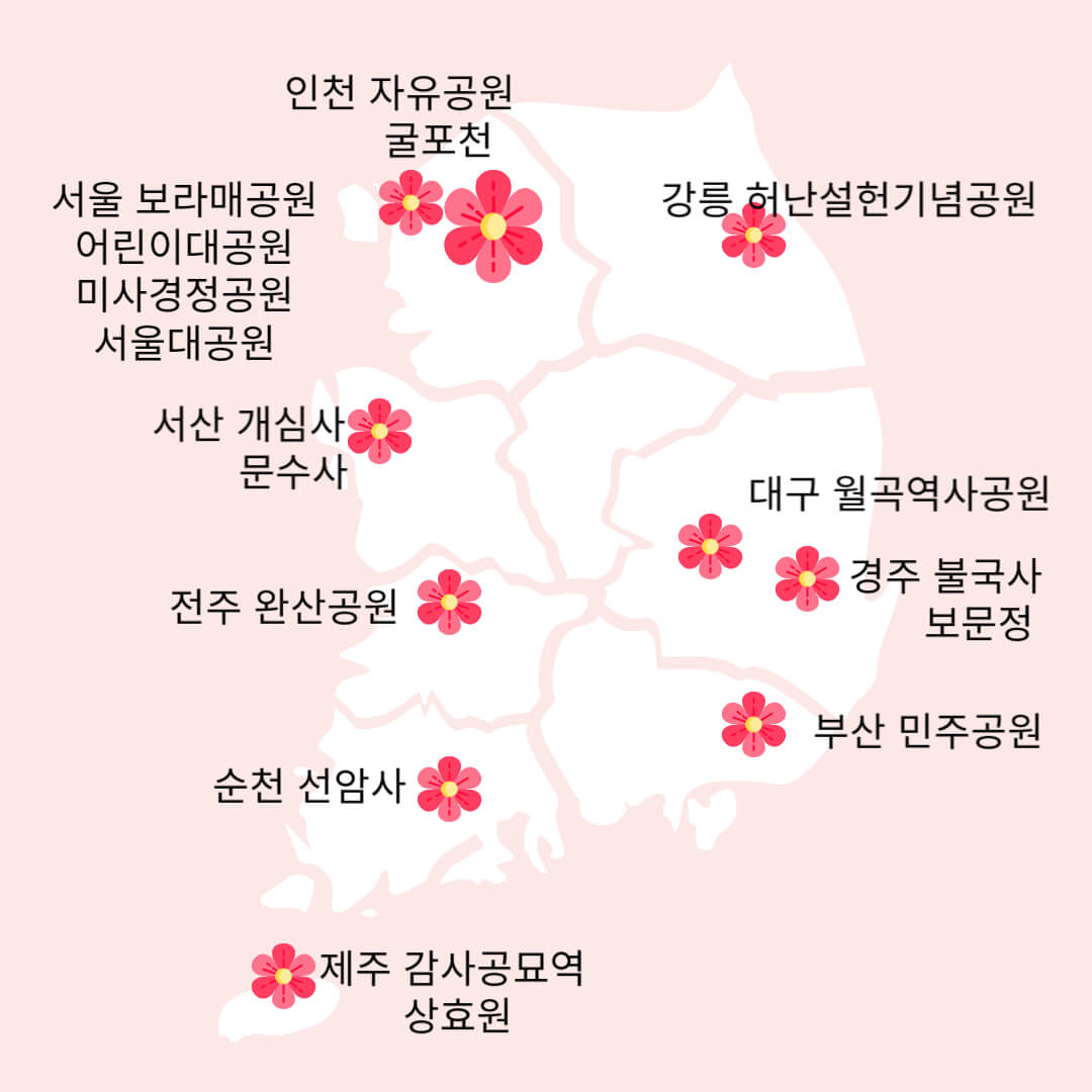 겹벚꽃 명소 지도