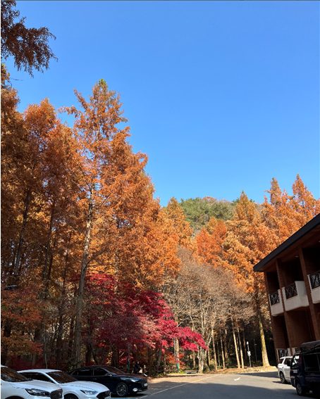 산림문화휴양관