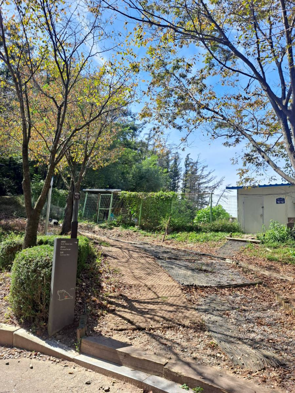 문수산 완만한 등산로