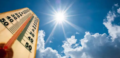 더위먹었을때 증상