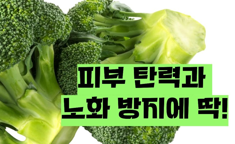 브로콜리 효능