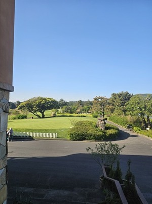 제주 사이프러스 c.c