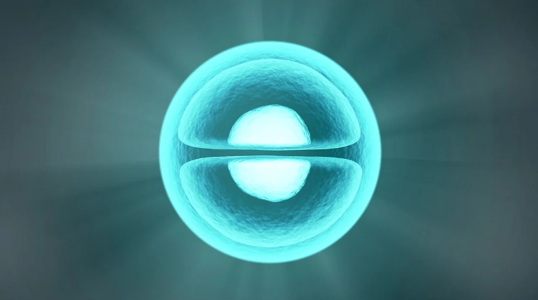 HLB-주가-전망-기업분석-알아보기