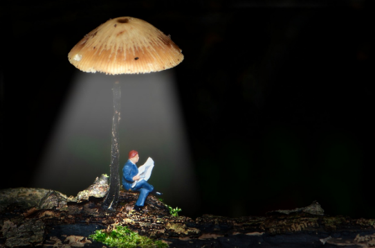 바쁜 세상 속 여유를 만드는 사람들, 그들의 시간 습관