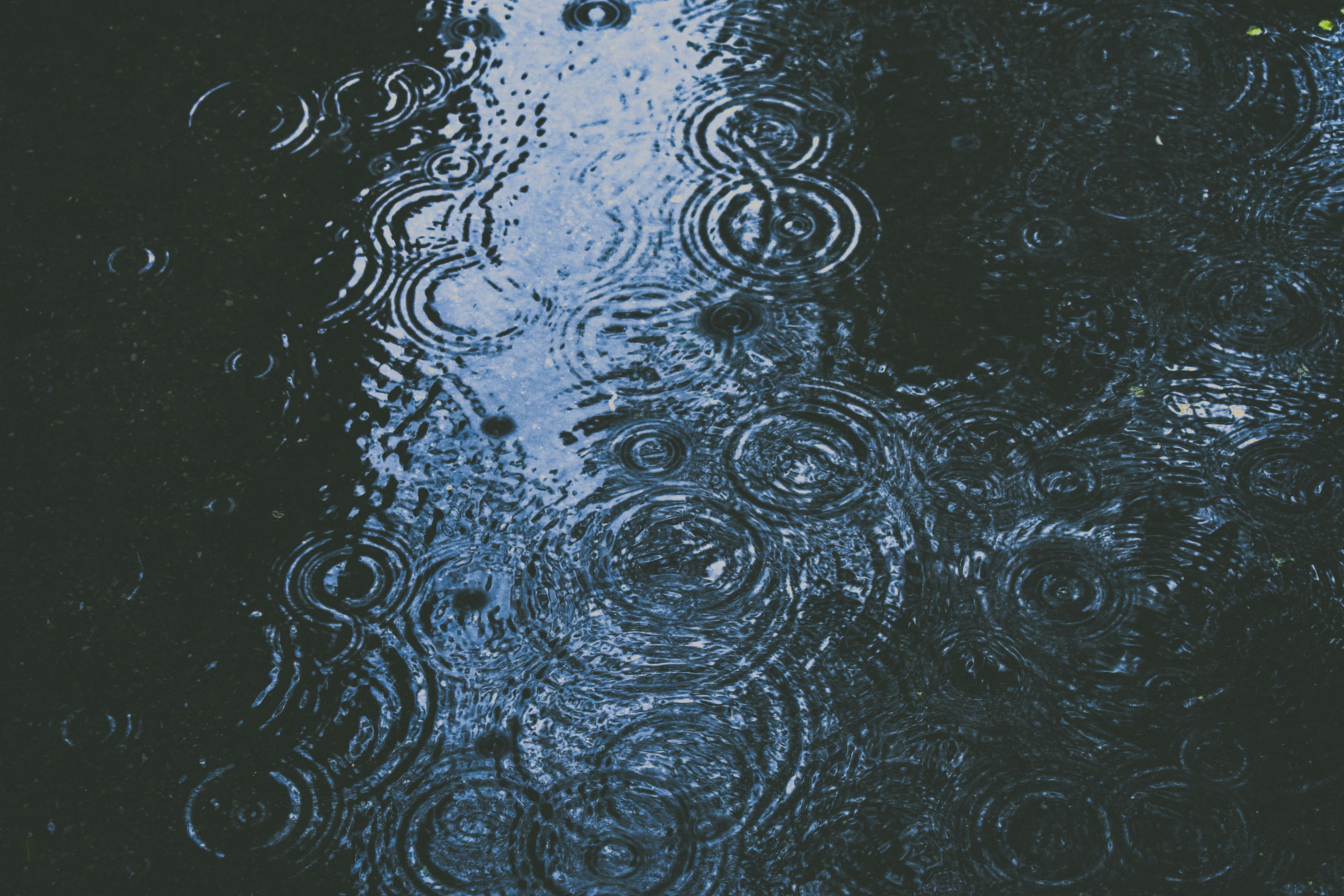 태풍 1호 우딥 예상경로 및 장마전선