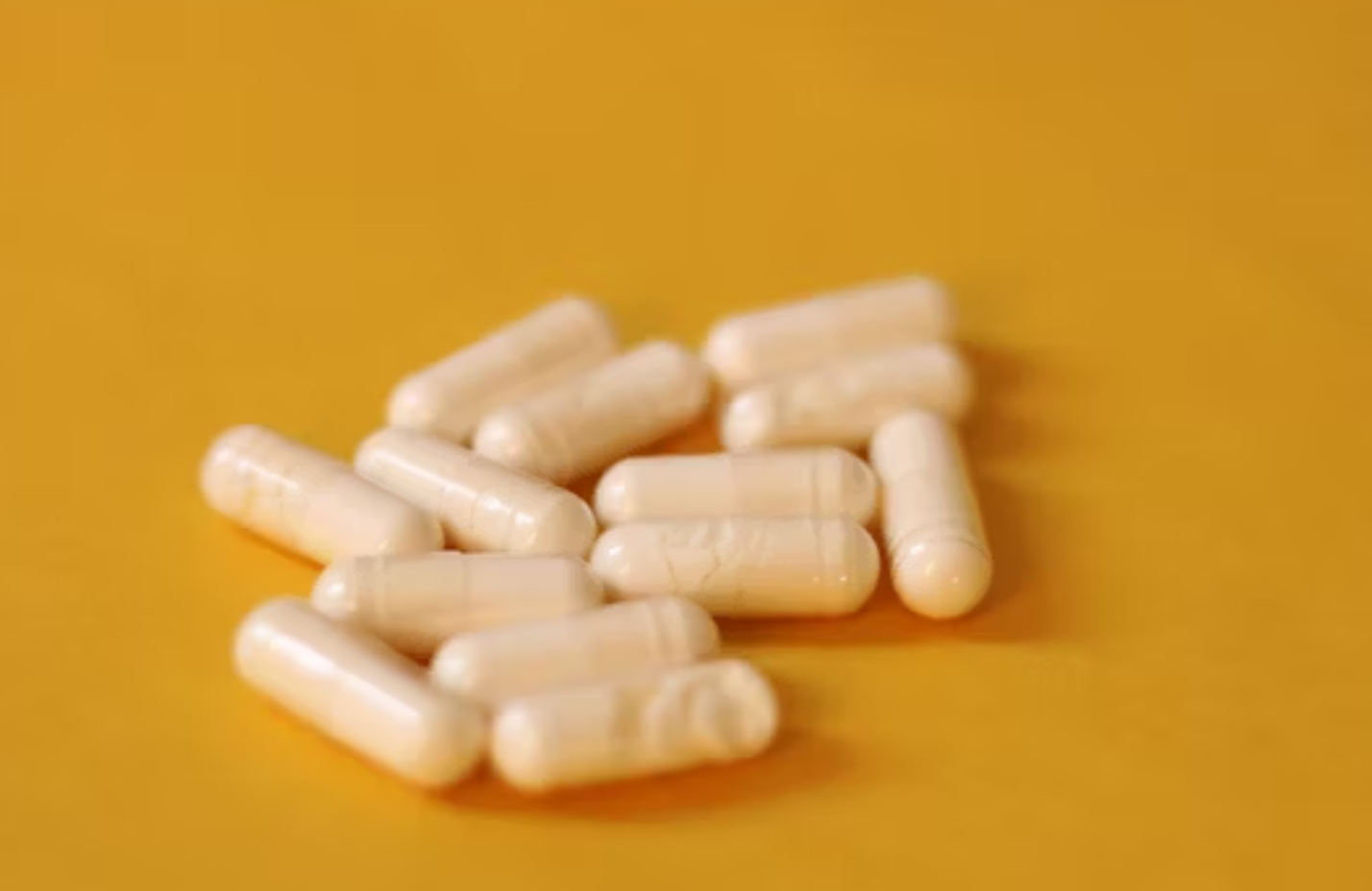 오메가3 효능 정리 12