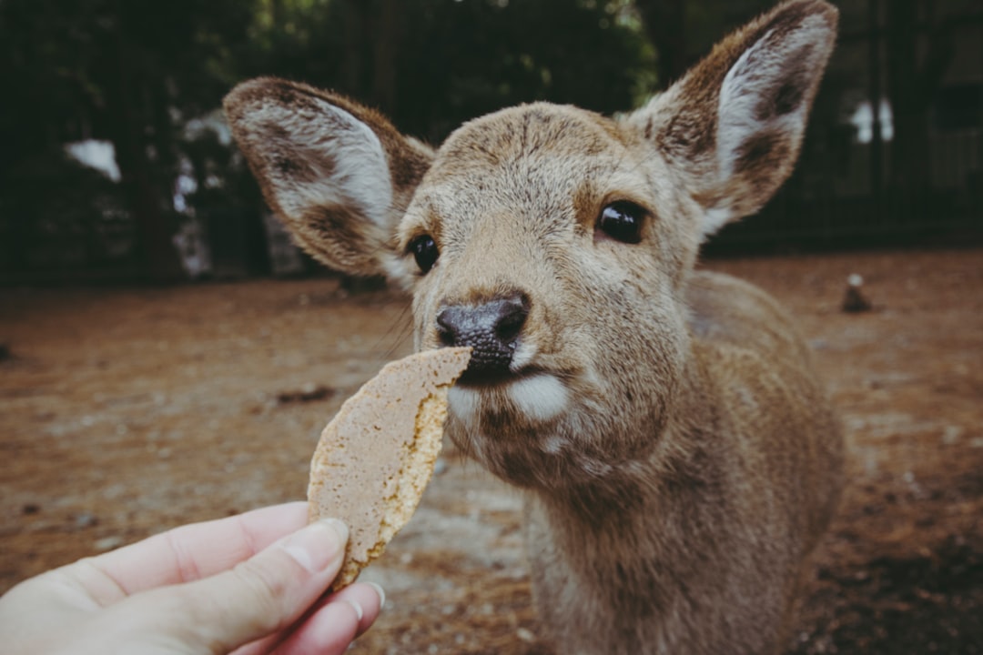 Picky eater.