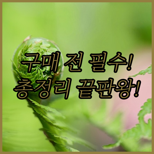 삼성 갤럭시 Z 폴드5 구매 전 무조..