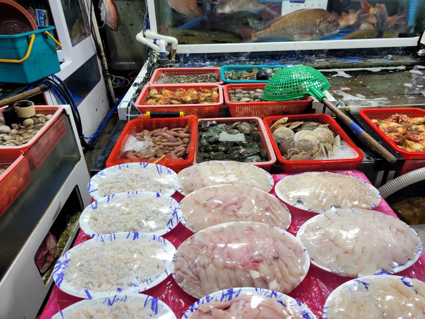 광어, 고등어 생선류 회 뜬 사진