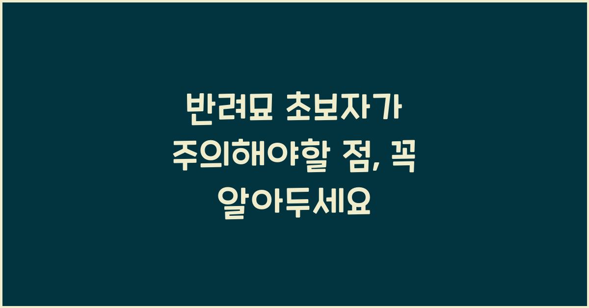 반려묘 초보자가 주의해야할 점
