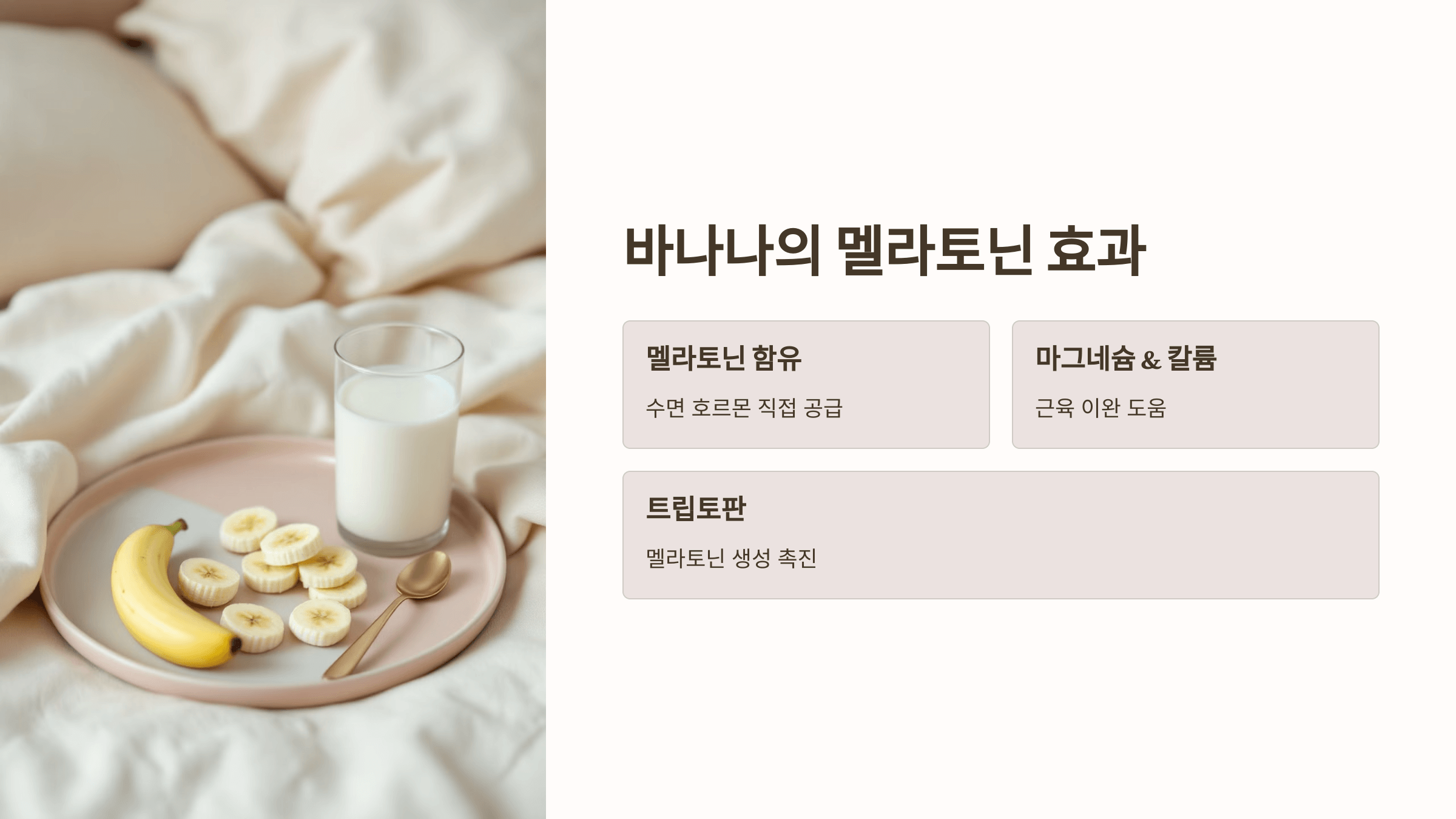 멜라토닌과 관련된 사진입니다.